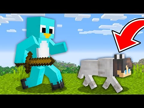 Speedrunner VS Hunter, BUT you Can SHAPESHIFT - Minecraft