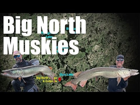 Big North Muskies