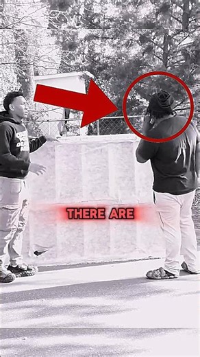 Asking a Stranger to Help With a Bed Bug-Infested Mattress!