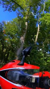 Miracle he's alive 🤕 | Max Wrist