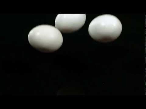Slow Motion Eggs Dropping HD Breaking in Slow Mo Shells Cracking and Video View of Yolks and Whites