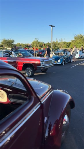 Split window Volkswagen Beetle | Driven60vw