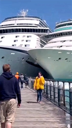 592K views · 999 reactions | Cruise Ships Brush Against Each Other While Entering the Port | Ship Disaster | Facebook