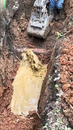 Clogged Underground Drain Line | Exterior Plumbing Repair