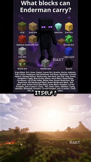 Enderwa..🙃 #memes #minecraft