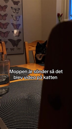 Minecraft musik på den också #minecraft #moped #reiju #trim #yasuni