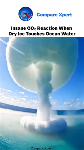 2,200 lbs of Dry Ice vs Ocean | Shocking Science Reaction ! #dryice #experiment