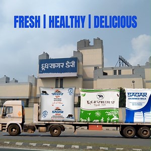 From farm to table, experience the pure goodness of our dairy products..! 🐄🥛 . . . #dudhsagardairy #Amul #sagar #fresh #healthy #delicious #milk #ghee #sagarmilk #dudhsagarghee #sagarskimmedmilk #dairyproduct #DairyIndia #dudhsagar #theprideofindia #stayhealthy #mehsana #gujarat #india #bharat | Dudhsagar Dairy