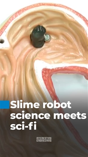 Researchers at the Chinese University of Hong Kong have created a magnetic slime robot that can change shape and move under external magnetic control. Made from a soft, viscoelastic material, the robot can stretch, self-heal, and squeeze through tight spaces. Its unique properties allow it to capture objects, offering promising potential for minimally invasive medical procedures and future applications in soft robotics and advanced material systems. 🎥 CUHK / YT | Interesting Engineering