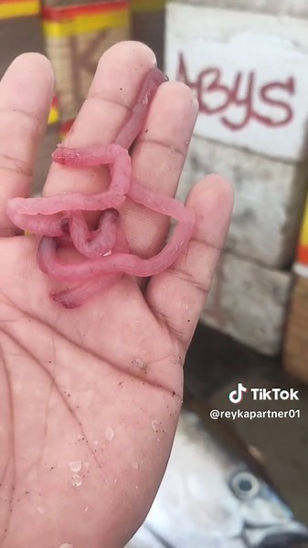 Exploring Diverse Fishing Techniques in the Philippines