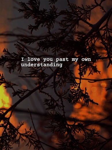 In case you question it: I love you past my own understanding. You are my first morning thought, my last waking breath, my safe room when life grows heavy, and the only future I quietly dream of holding. #poetry #poetsoftiktok #Love #lovepoetry