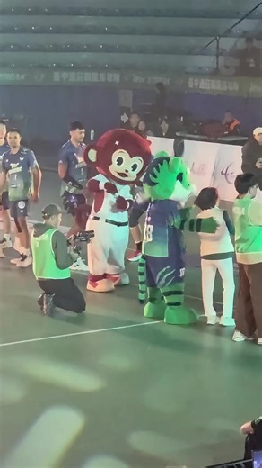 Understanding Monkeys: The Uniqueness of Their Tails