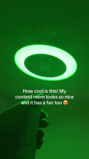 Brighten Your Room with This Amazing Ceiling Fan Light