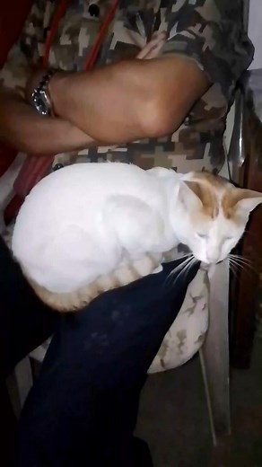 My lowie my bantay at my store | Sonia Maday-a Agno