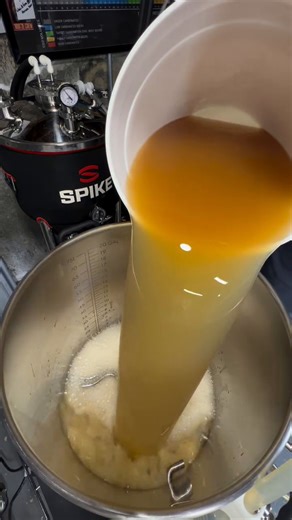 1.1K views | @flyingleapbeer brewing a flavorful American Pale Ale using Chinook, Cascade and Centennial hops 﫶 | Spike Brewing | Facebook