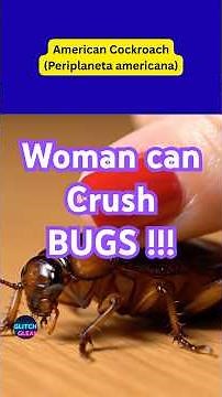 💅 Women Can Crush Bugs?! 10 Insects Smushed in Ultra-Close ASMR 🪳🐝🕷️