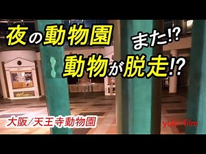 [Tennoji Zoo] Animals escape from the zoo at night!?