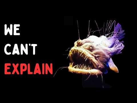 Top 10 Creepiest Sea Creatures Ever Discovered | Ocean’s Darkest Secrets