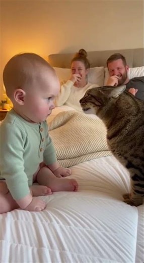 Baby vs The Grumpy Cat 😾👶