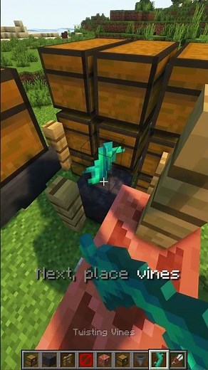Automatic Item Sorting System in 20 Seconds Java & Bedrock