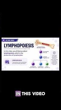 Clinical Hematology - Lymphopoiesis