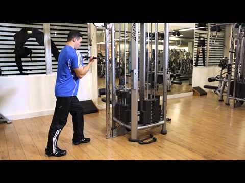 Cable Pushdown Reverse Grip - Triceps Exercise