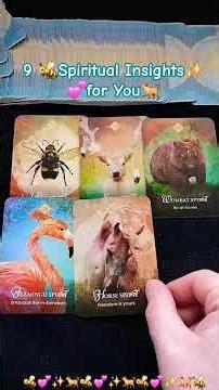 9️⃣ Spiritual Insights for You🐝 Spirit Animal Pocket Oracle Card Reading journey to love💕 & light✨️