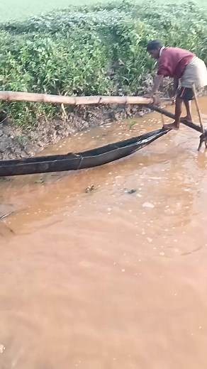 The perfect story of peace | Tech Times