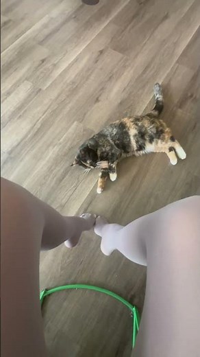 Happy 4th of July !! 🇺🇸💥 #tights #fashion