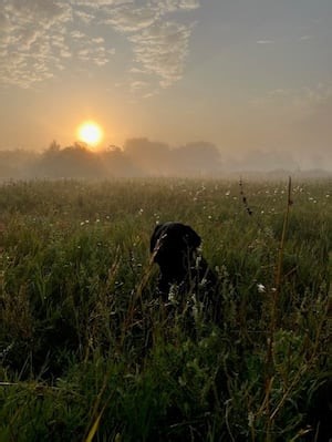Manitoba weather forecast: Plenty of sunshine and light winds expected in Manitoba