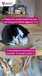 6.5K views · 47 reactions | Happy Easter!  If you’ve got some...