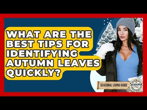 What Are The Best Tips For Identifying Autumn Leaves Quickly? - Seasonal Living Guide
