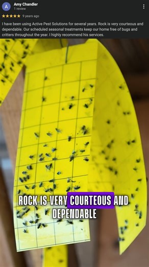 ⭐ “I have been using Active Pest Solutions for several years. Rock is very courteous and dependable. Our scheduled seasonal treatments keep our home free of bugs and critters throughout the year. I highly recommend his services." At Active Pest Solutions, our customers are the reason we do what we do — and their reviews say it best! 🌿✨ From termites and ants to roaches, rodents, and more, our team delivers safe, lasting pest control that keeps homes across Williamsport pest-free and worry-free.