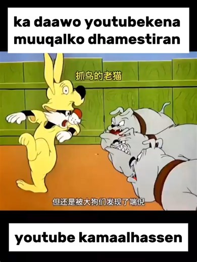 ‏comment ugu wac saxibada xiiseysa cartoonka #somalitiktok #sheeko #fyp