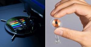 elon musk says neuralink brain chip will make language obsolete in 10 years