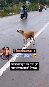 10K reactions · 457 shares | Maa to Maa hoti hai 凉凉 . . #maa #beta #reelsinstagram #trending #explore #bholenath #mahadev #hanuman #help #humanity #emotional #love #support #reels #viralpost #viralvideos #instagood #doglover #haridwar #kolkata #mumbai #delhi #d_solanki_100_k | Dharmendra Solanki | Facebook
