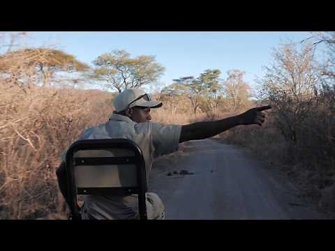 Matetsi Victoria Falls | A Day at our Luxury Safari Lodge in Zimbabwe
