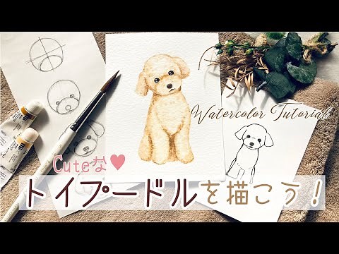 トイプードルの描き方【簡単なペン画と水彩イラスト】How to Draw a Toy Poodle