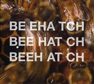Beehatch - Beehatch