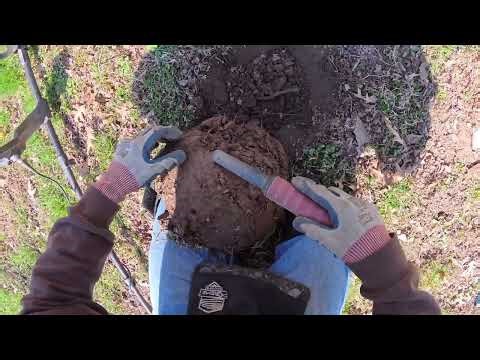 Metal Detecting around a Pavilion inside a Public Park - Silver Ring Found