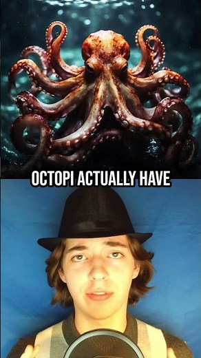 Octopi Have HOW MANY Hearts? #shorts #funfacts
