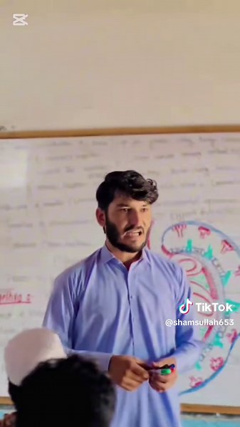 Understanding the Urinary System: Key Functions and Health