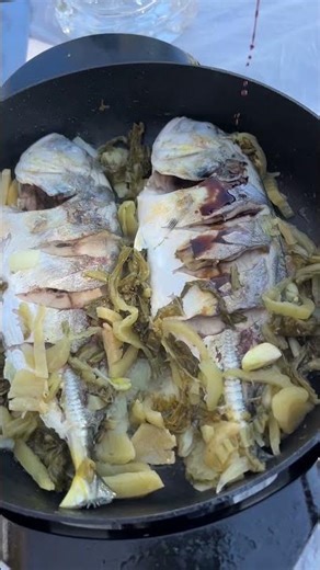 海边露营地天天吃鱼 #酸菜鱼 #佛罗里达 #Sebastian Inlet State Park