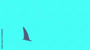 A simple cartoon animation of a Shark making a circle on a blue screen. The concept of playing and circling around the victim. Dance of the Predator in 4K with alpha channel.
