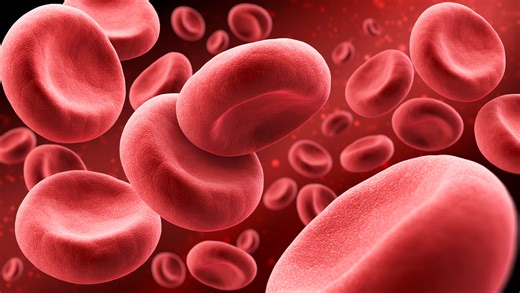 Advances in Hemophilia: From Joint Health to FVIII Guidelines and the Clinical Integration of Rebalancing Agents