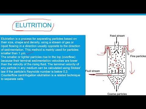 Elutriation - Mechanical Separation Process