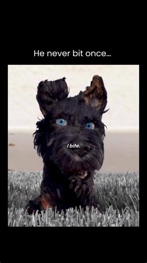 Good Movies Grid on Instagram: "*Isle of Dogs* (2018) is a visually stunning stop-motion animated film from Wes Anderson, set in a dystopian Japan where all dogs have been exiled to a remote island due to a canine flu outbreak. The story follows Atari, a young boy, who embarks on a daring journey to the island to rescue his dog, Spots, encountering a band of resourceful and loyal dogs along the way. The film blends adventure, humor, and heart, exploring themes of loyalty, friendship, and standin