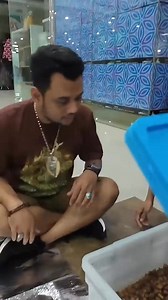 1.1M views · 13K reactions | Ranjau Darat Afrika dan Ular Derik | Panji Petualang | Facebook