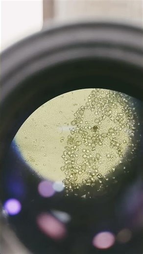 #song #crystals #microscope