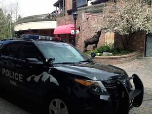 Of moose and men: Leave moose alone